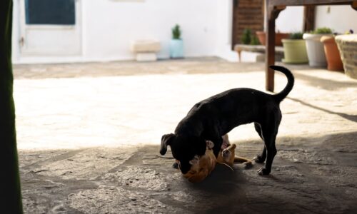 Cum să transformi designul interior în succes pentru localul tău