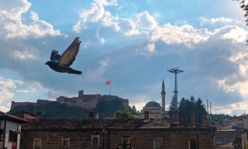 Strategii eficiente pentru atragerea clienților prin oferte speciale