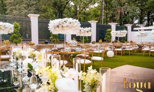 Toya Concept Events – Locația unde natura și eleganța scriu împreună povești de neuitat