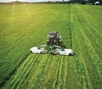 Semințe și amestecuri furajere de la Aldemo TQM – soluții profesionale pentru fermieri