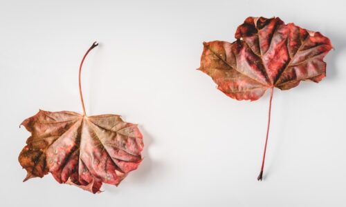 Cum să transformi eșecul într-o oportunitate