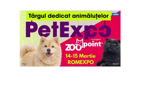 Noutățile din universul dedicat animalelor de companie doar pe 14-15 martie la PetExpo România 2026 – evenimentul anului în materie de pet lifestyle