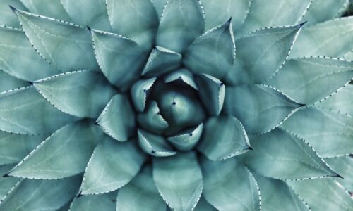 Cum să folosești timpul liber pentru creștere personală