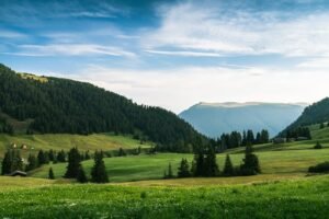 Photo transform weaknesses into professional advantages