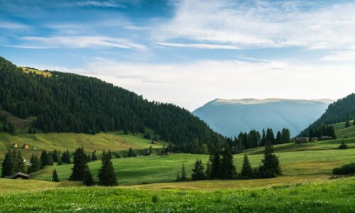 Cum îiți transformi punctele slabe în avantaje profesionale