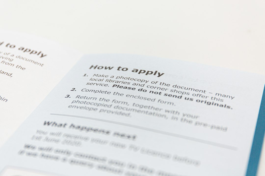 Photo career success guide experts data 2024